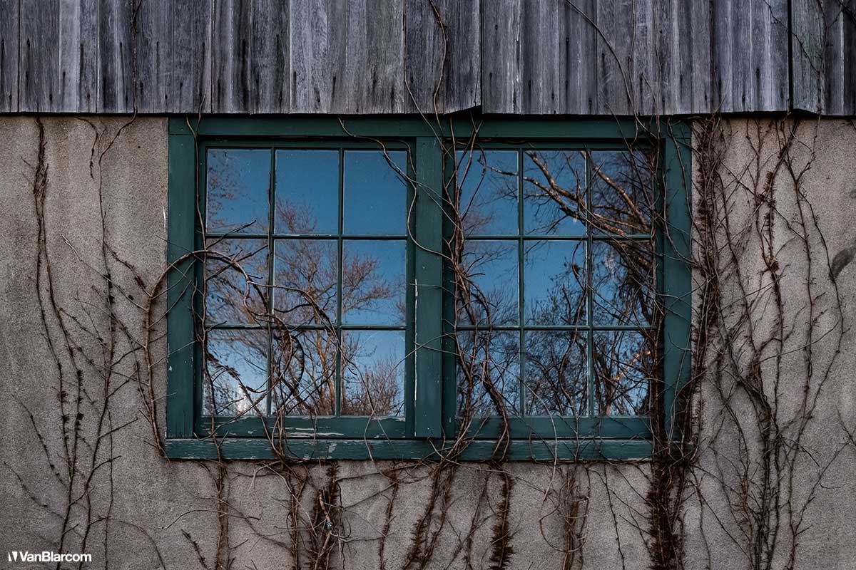 Tyler State Park - Bucks Country Pennsylvania