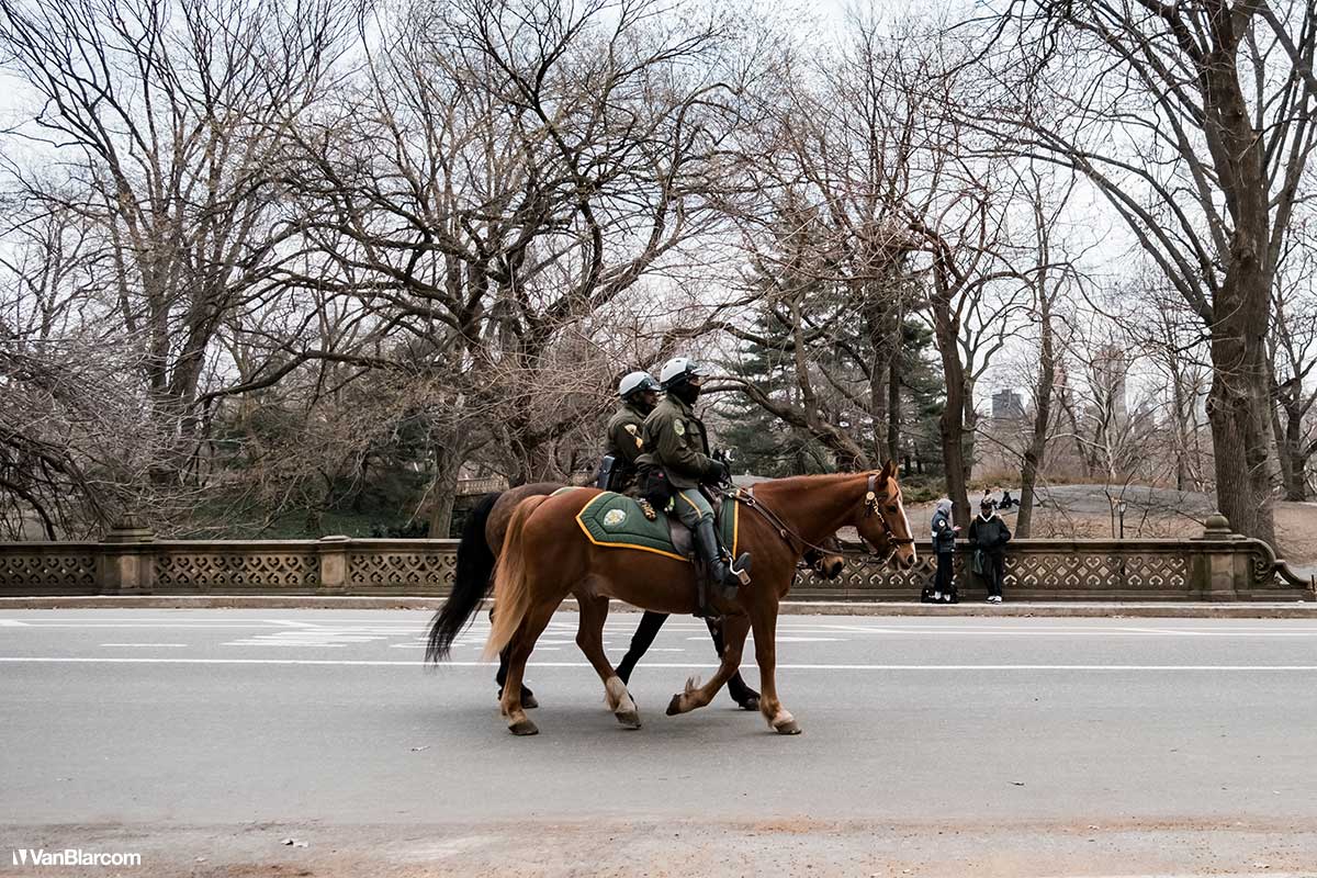 Central Park NYC