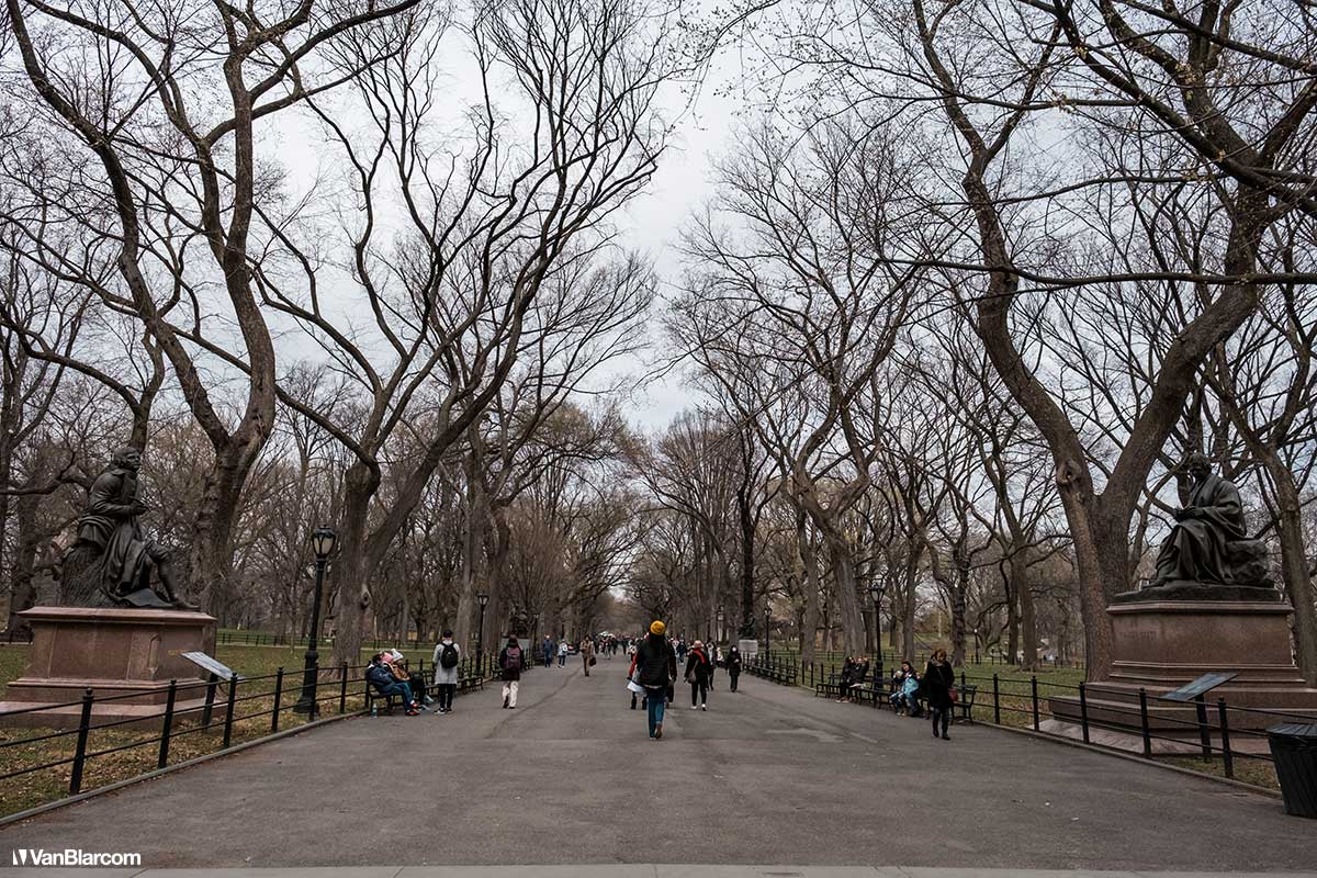 Central Park NYC